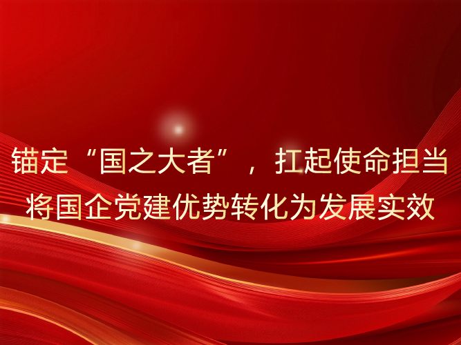 锚定“国之大者”，扛起使命担当  将国企党建优势转化为发展实效