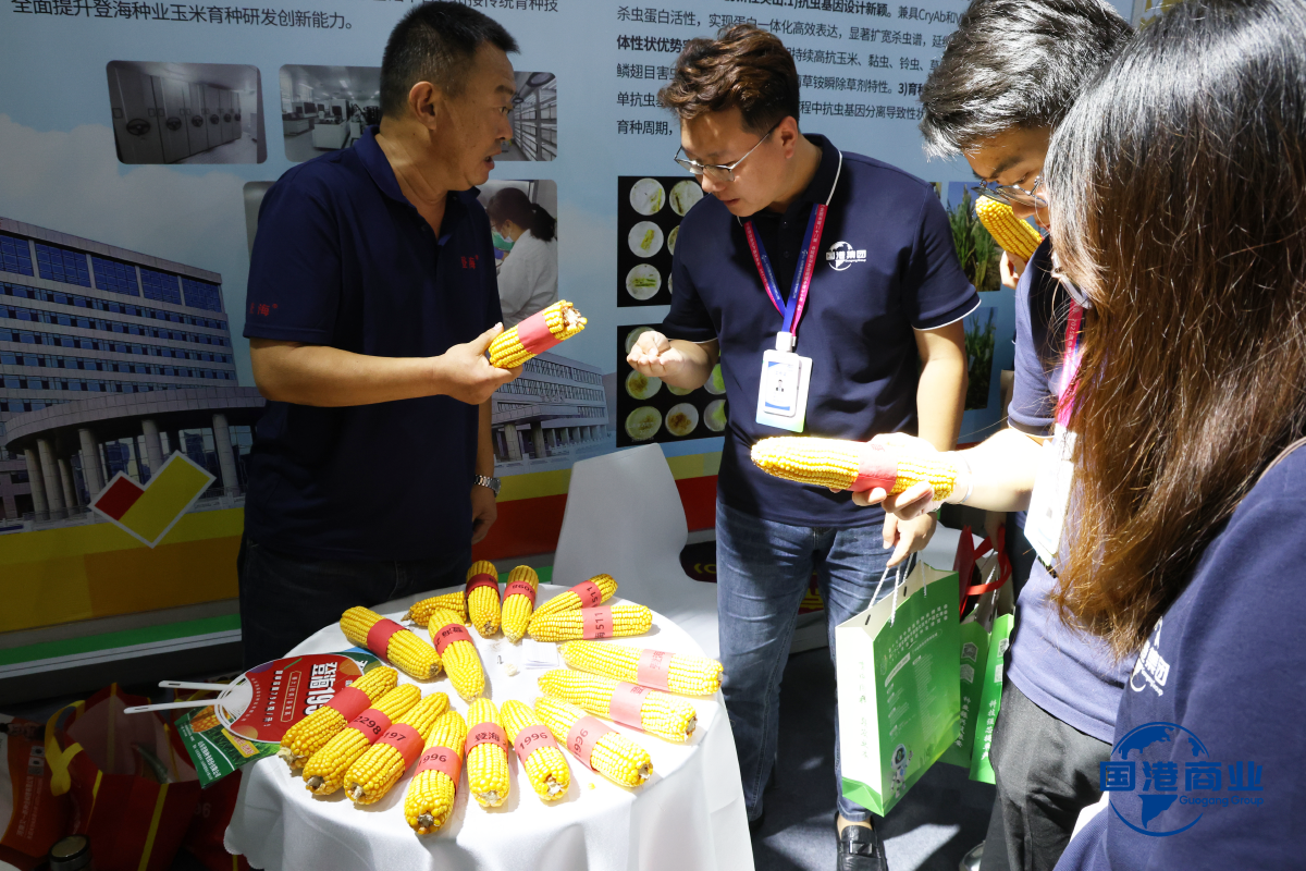 双线发力拓新局 国港集团闪耀两大行业盛会